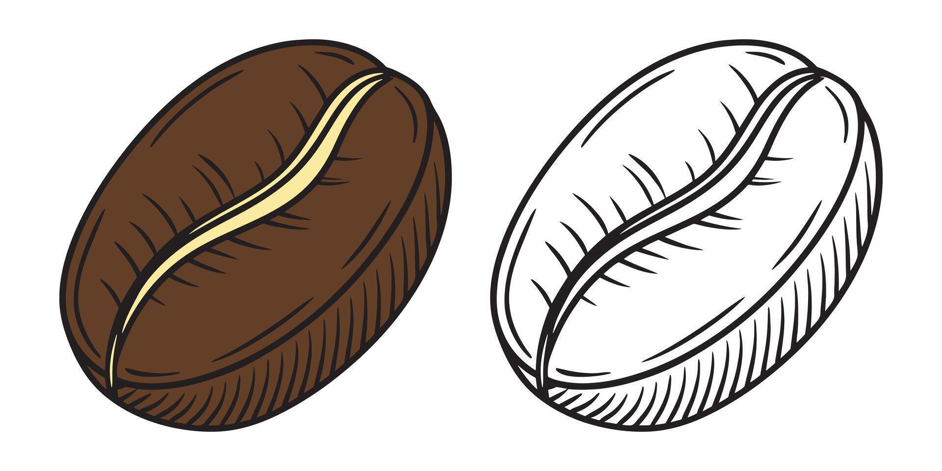 Brown and outline coffee beans illustration food vector
