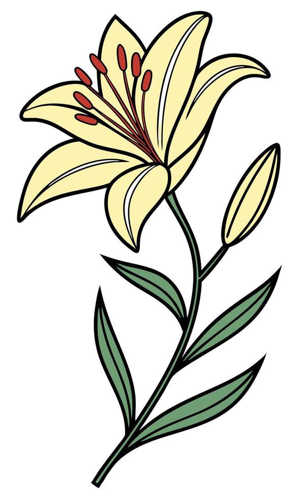 Pale yellow lily with green leaves and buds flower vector