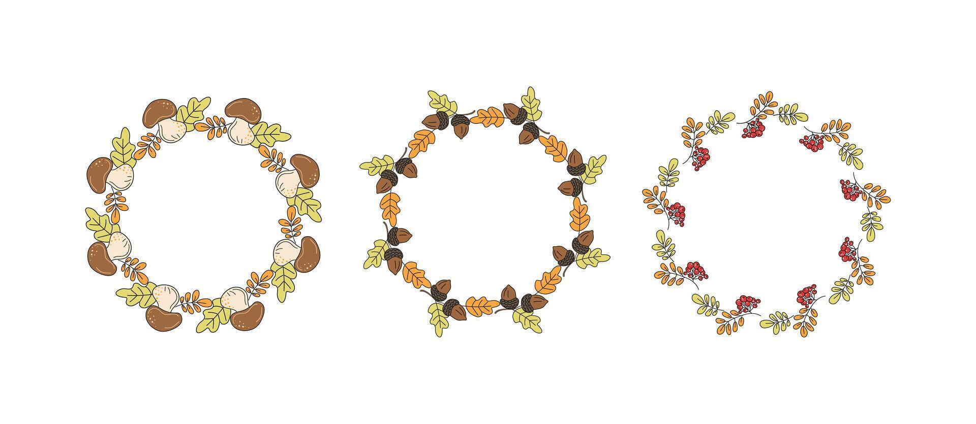 Set round frame, autumn banner. Wreath with oak leaves, acorns, mushrooms, rowan leaf, berries. Leaf fall. Hand drawn, doodle, drawing. Natural botanical background, postcard design, harvest festival. vector