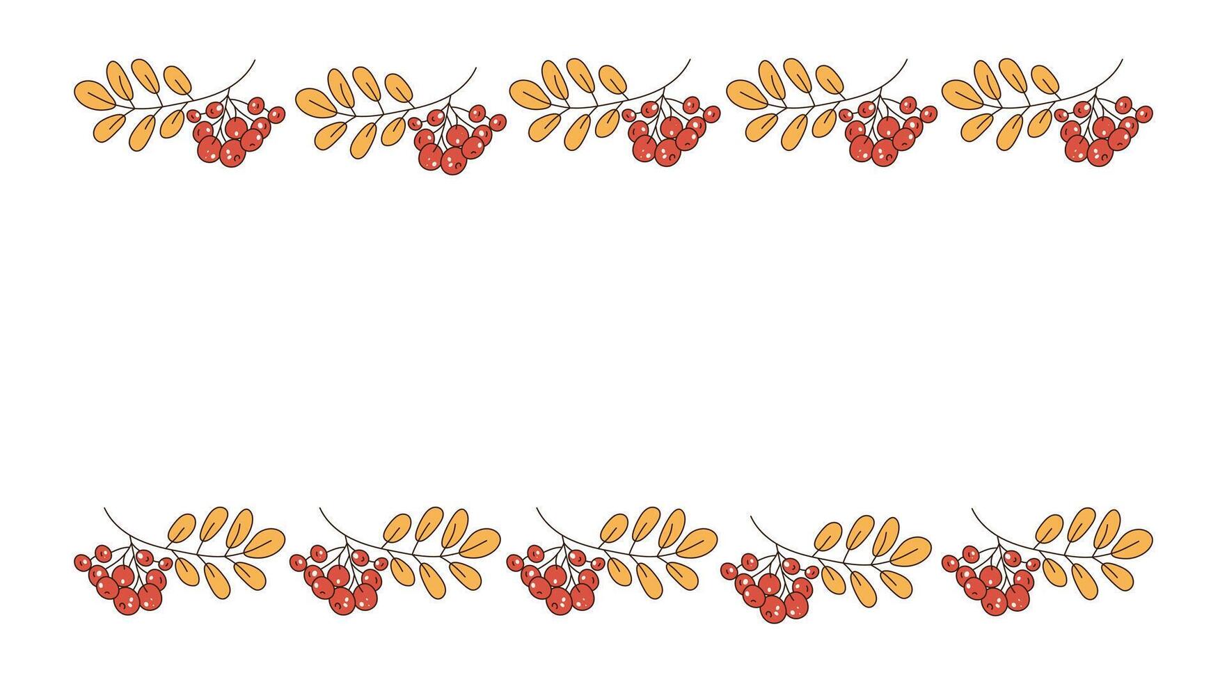 Autumn leaves, berries. Frame, border with place for text. Autumn, rowan branch. Botanical illustration of nature. Leaf fall. White isolated background. Food vector