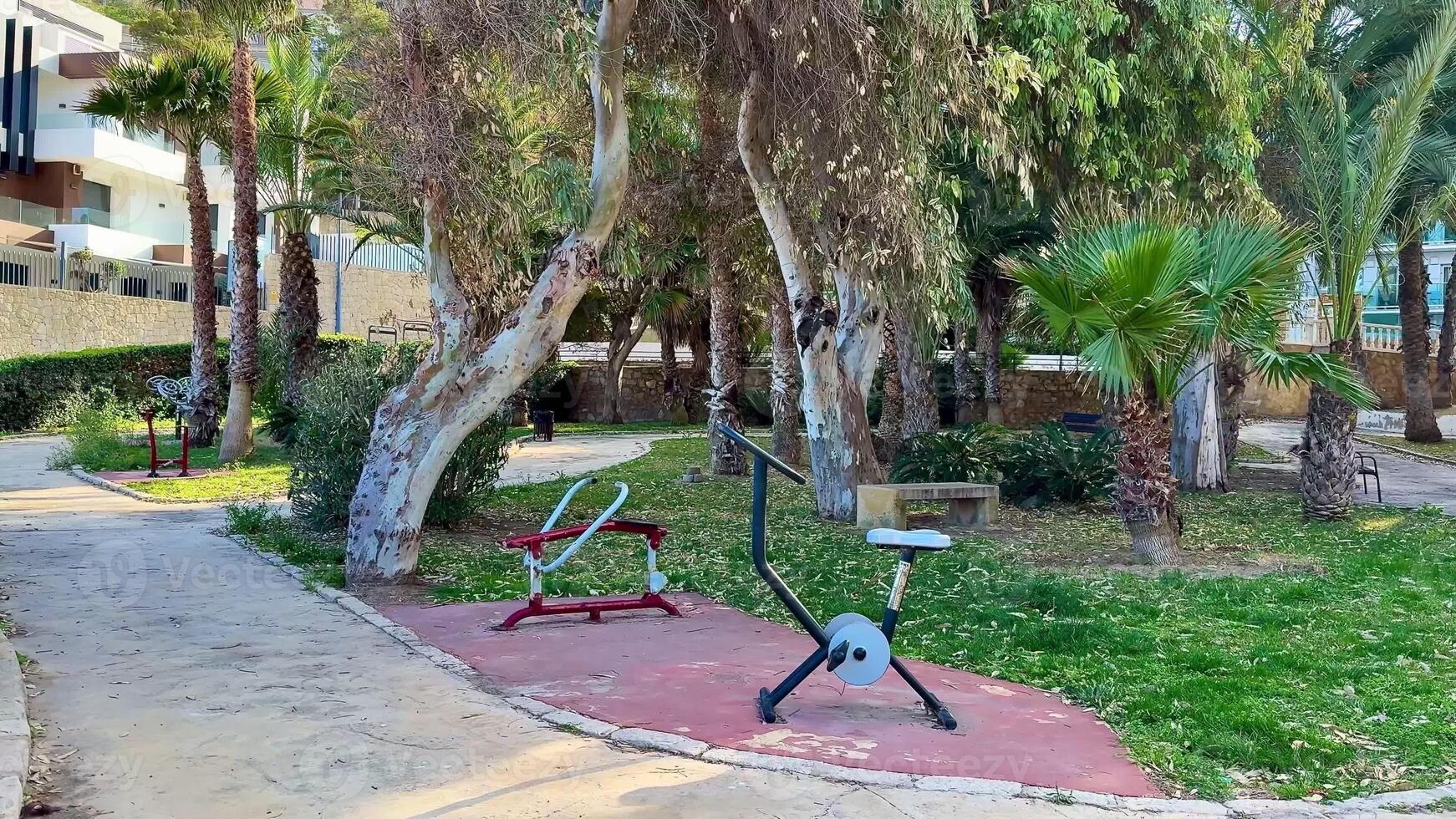 Discover an array of outdoor fitness equipment nestled among lush greenery and tall palm trees in this peaceful park photo