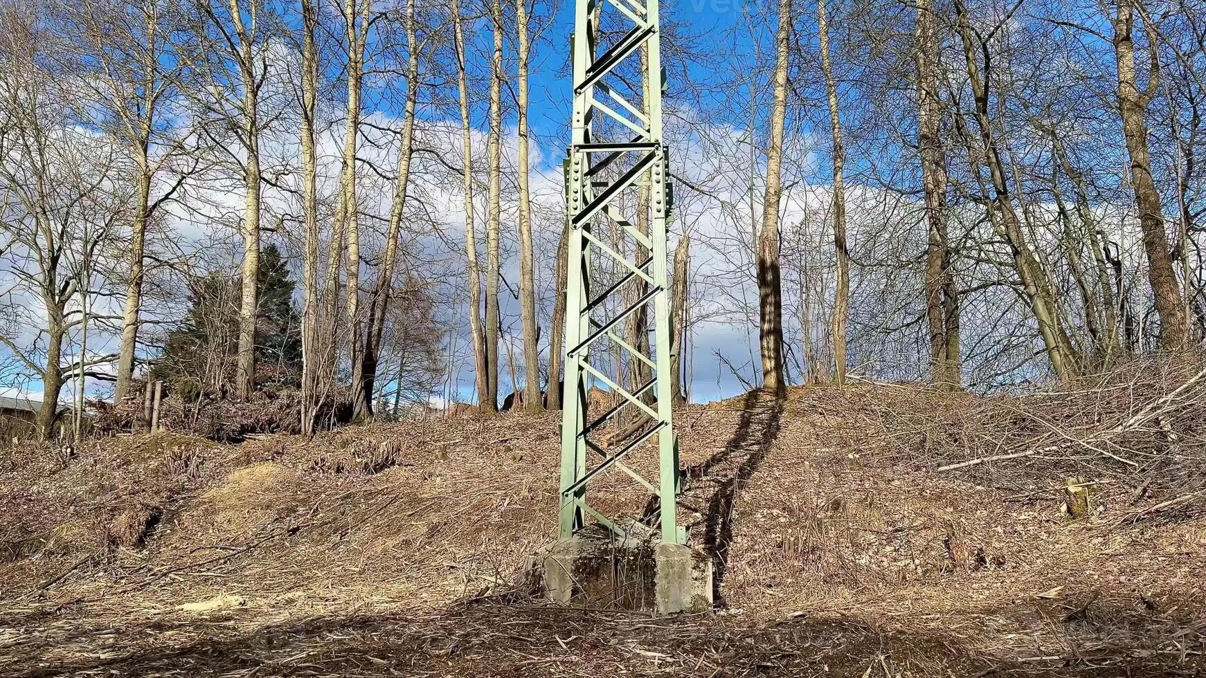 A tall metal tower rises amidst trees, showcasing the beautiful blend of nature and human structures photo