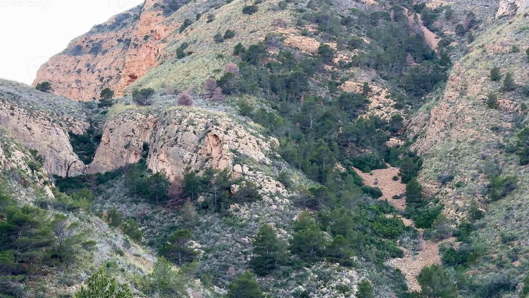 Explore the stunning rocky hills adorned with lush greenery, perfect for outdoor adventures and photography photo