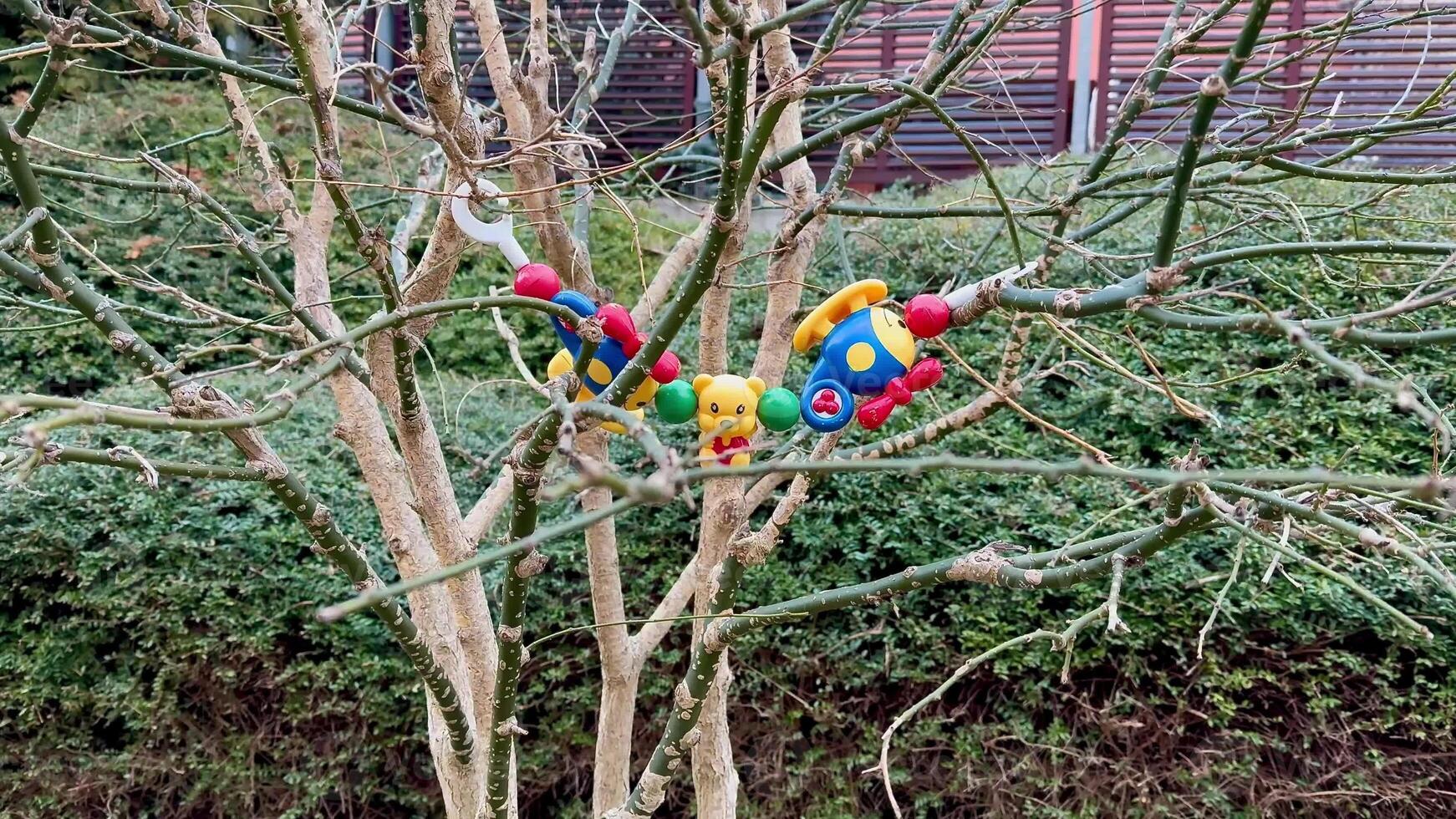 Colorful toys nestled in tree branches showcase delightful creativity for all to enjoy and appreciate photo