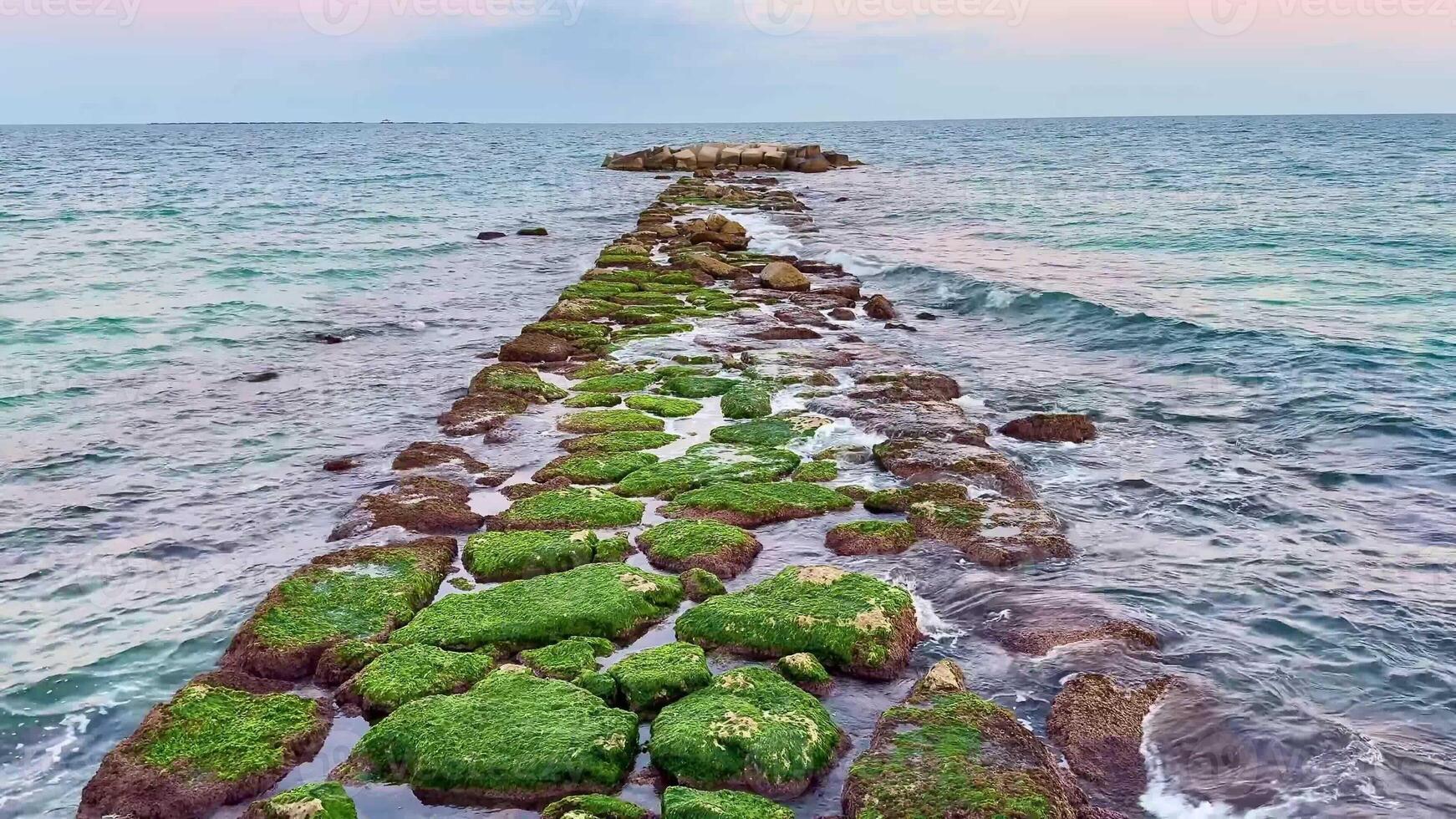 A stunning and beautiful view of a mosscovered jetty leading into the serene, vast ocean during a picturesque sunset photo