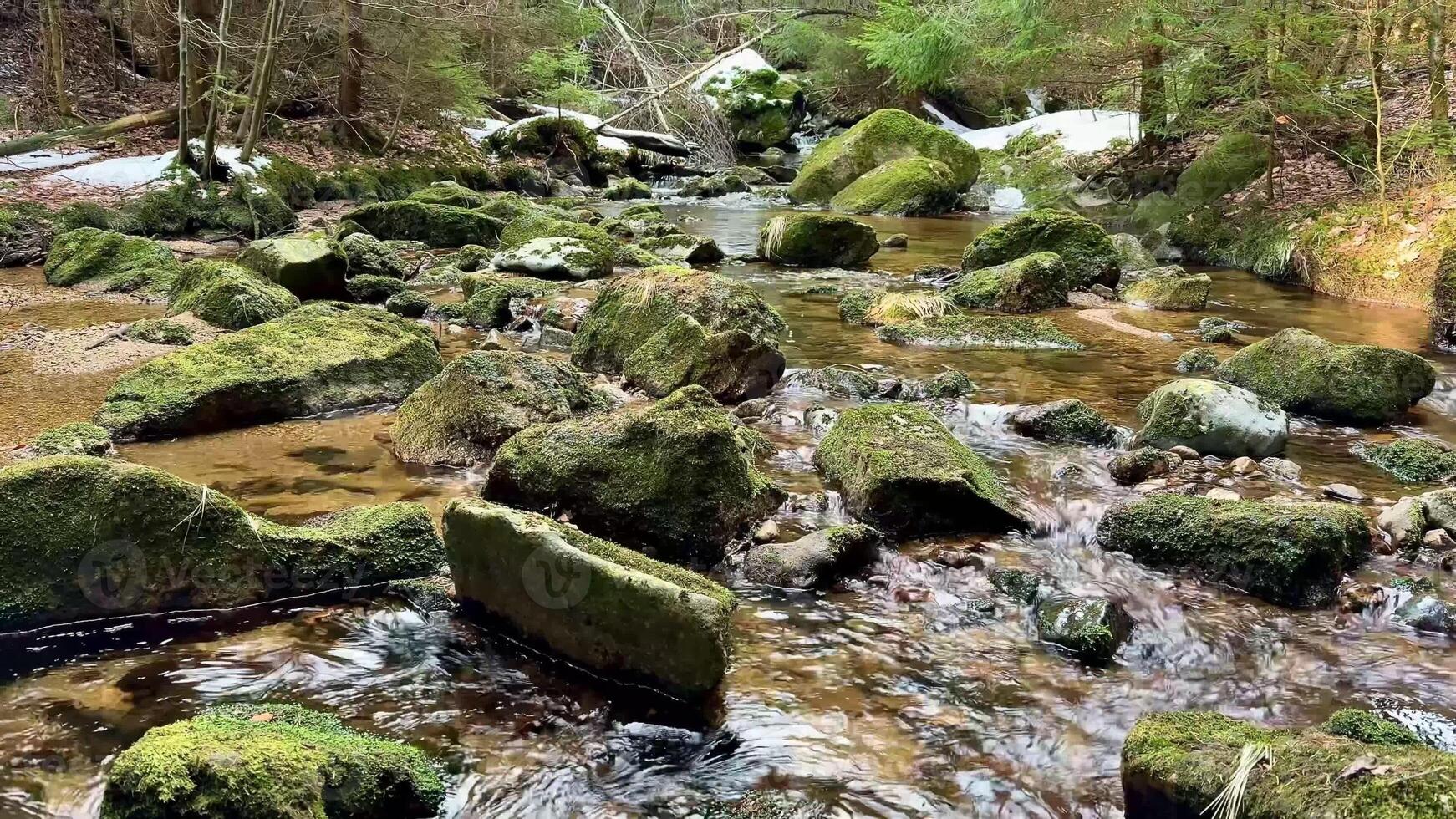A peaceful stream flows through a vibrant forest with moss-covered rocks and gentle movement of water. photo