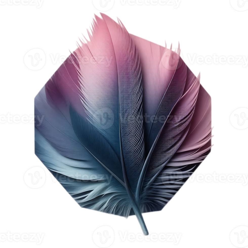 Abstract Feather Pastel Colors in a Geometric Shape png