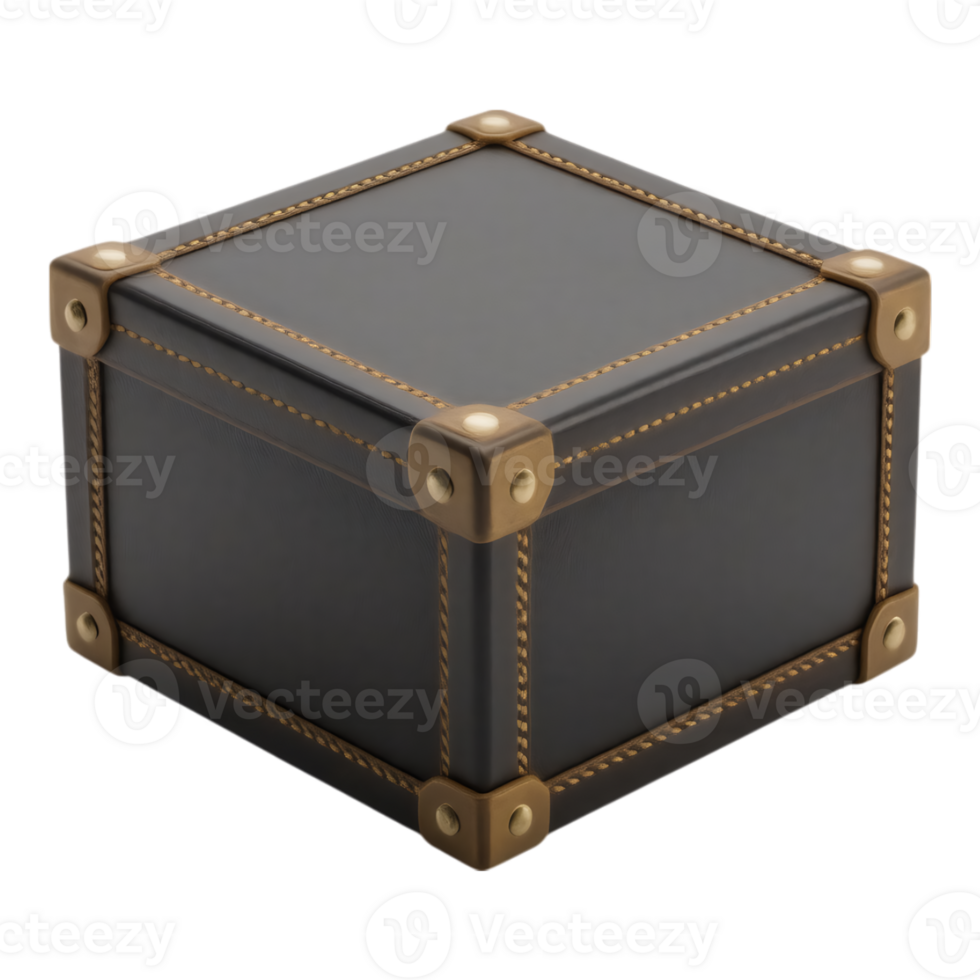 Luxury Black Leather Box with Brass Hardware png