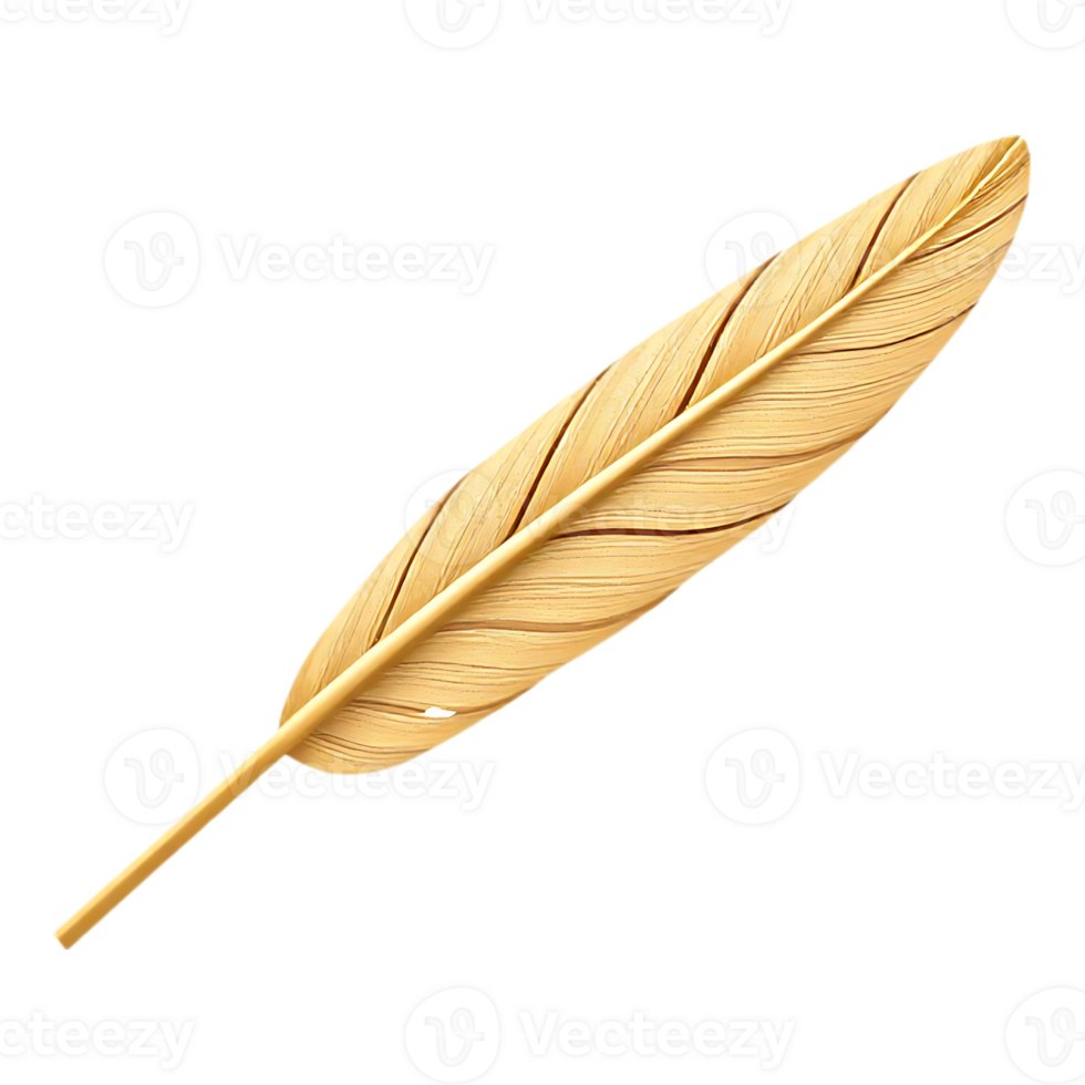 Golden Feather Elegant Symbol of Lightness and Grace png