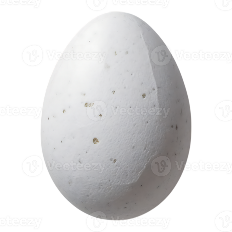 White Egg on Transparent Background png