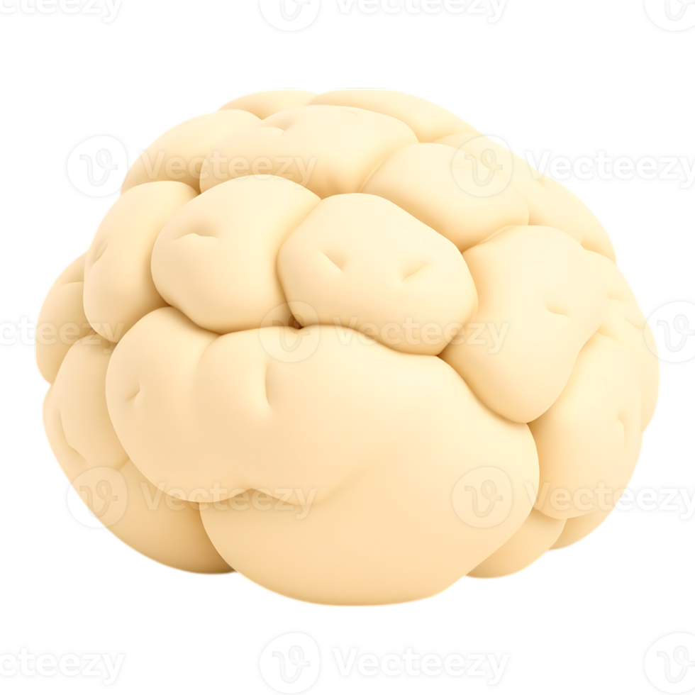 3D Cartoon Brain Illustration png