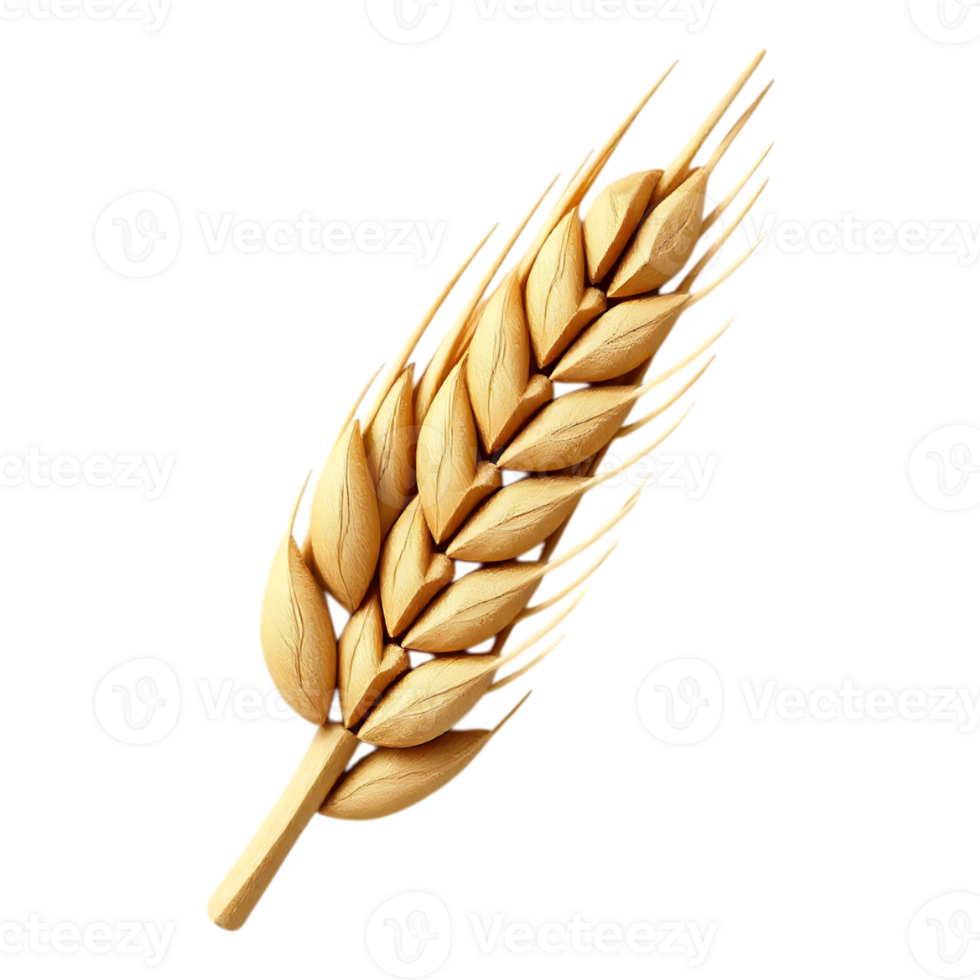 Wheat Spike Illustration Isolated png