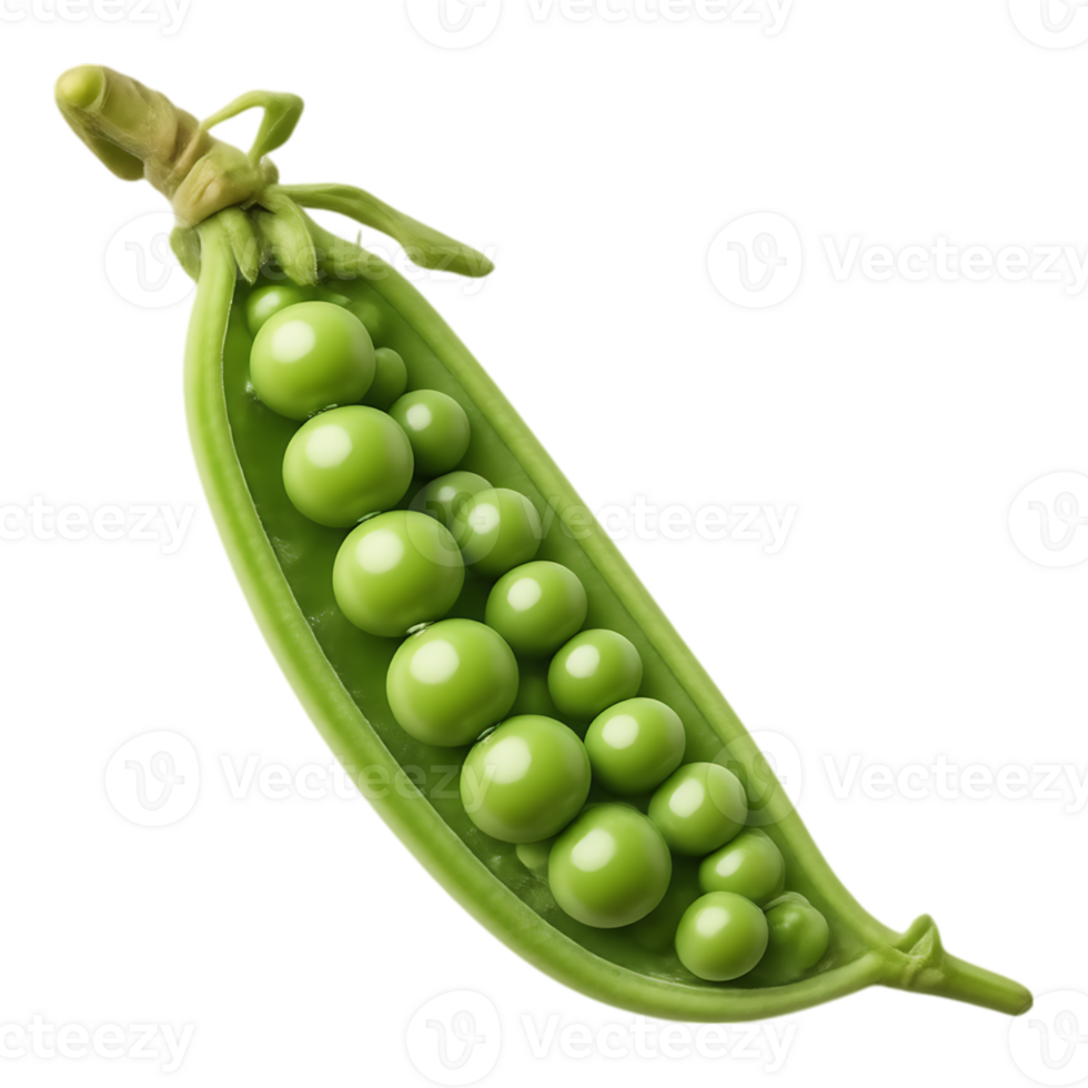 Open Pea Pod with Fresh Green Peas png