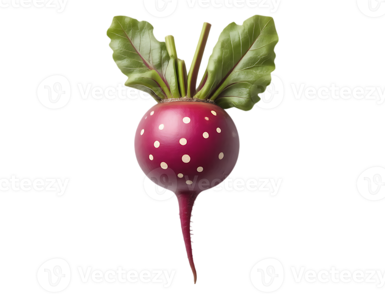 Vibrant Red Radish with Polka Dots and Green Leaves png
