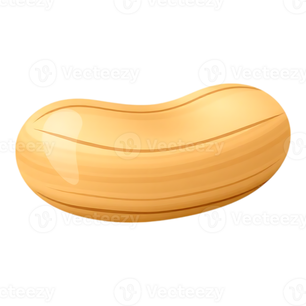 Close-up illustration of a single cashew nut with a transparent background png