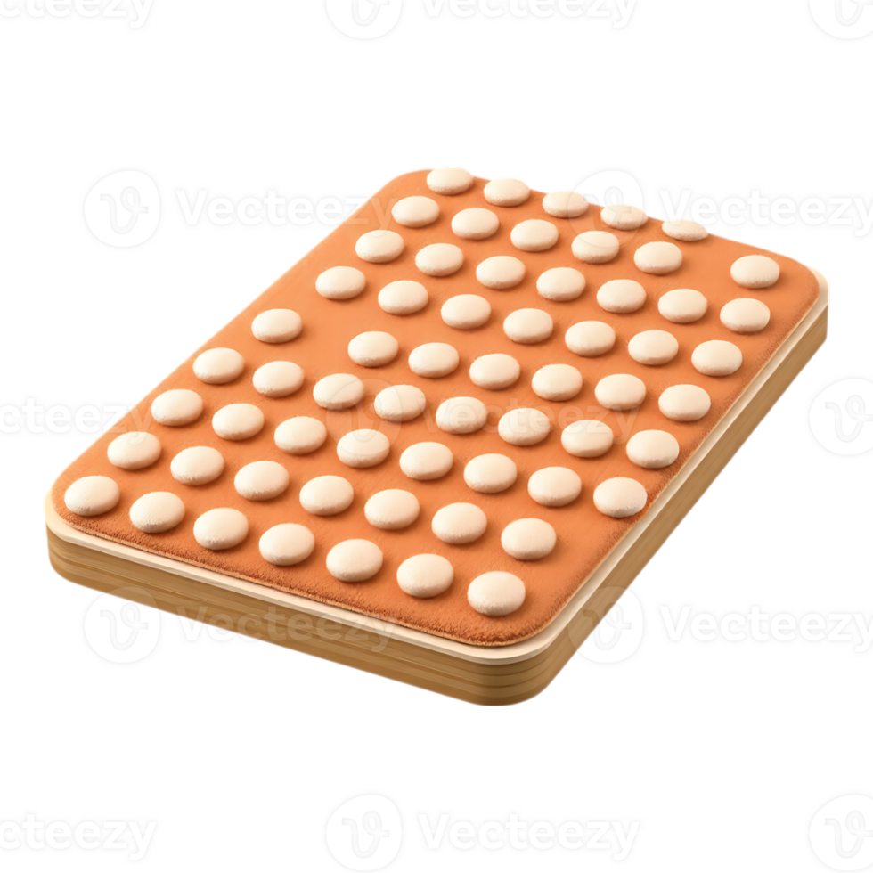 Acupressure Mat with Raised Nubs png