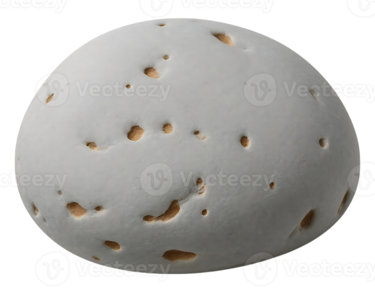 Textured Stone with Holes png