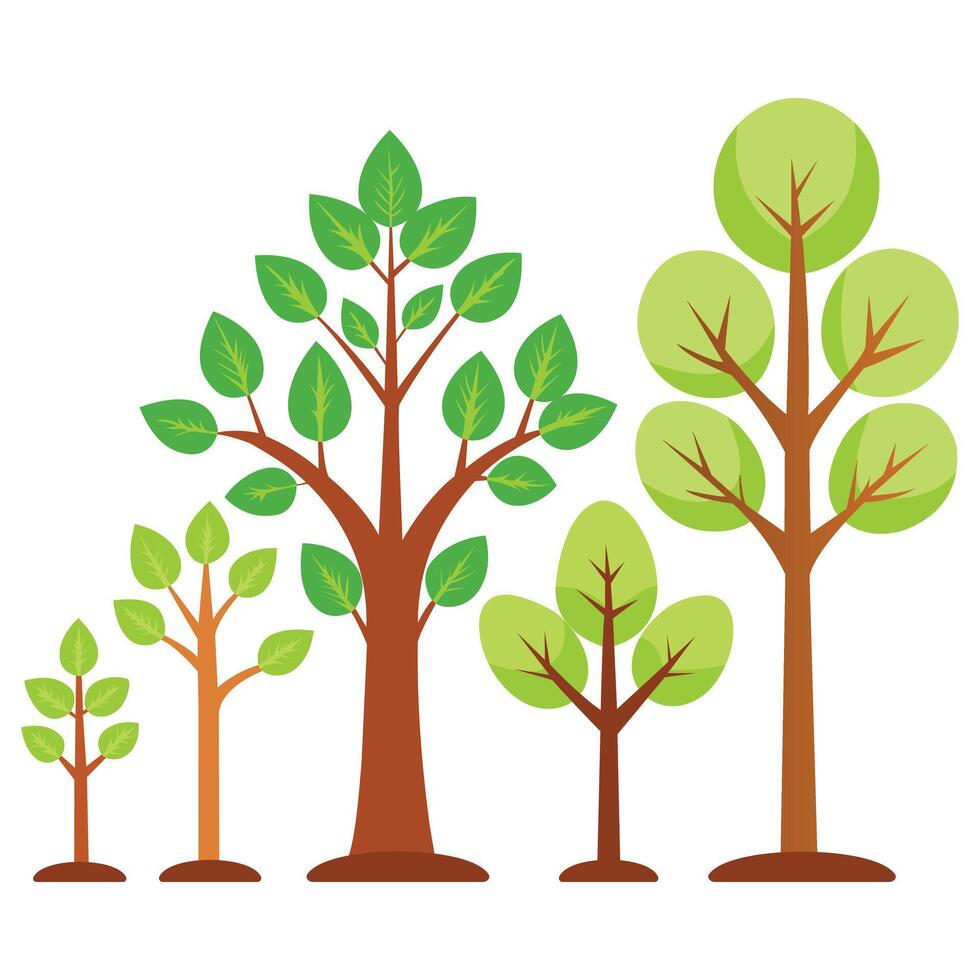 Stylized Tree Growth Stages A Visual Representation of Development and Progression vector