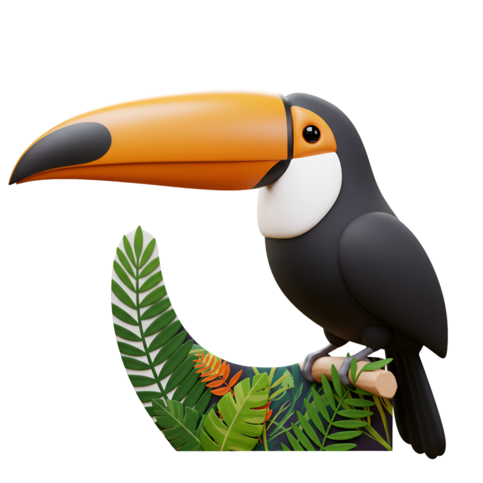 Colorful Toucan Tropical Bird Wildlife png