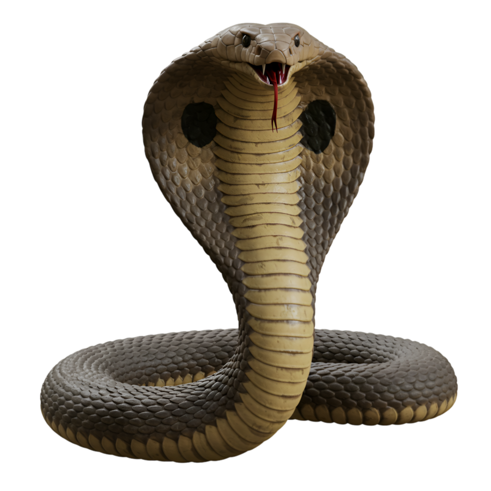 Cobra Snake Dangerous Reptile Wildlife Animal png
