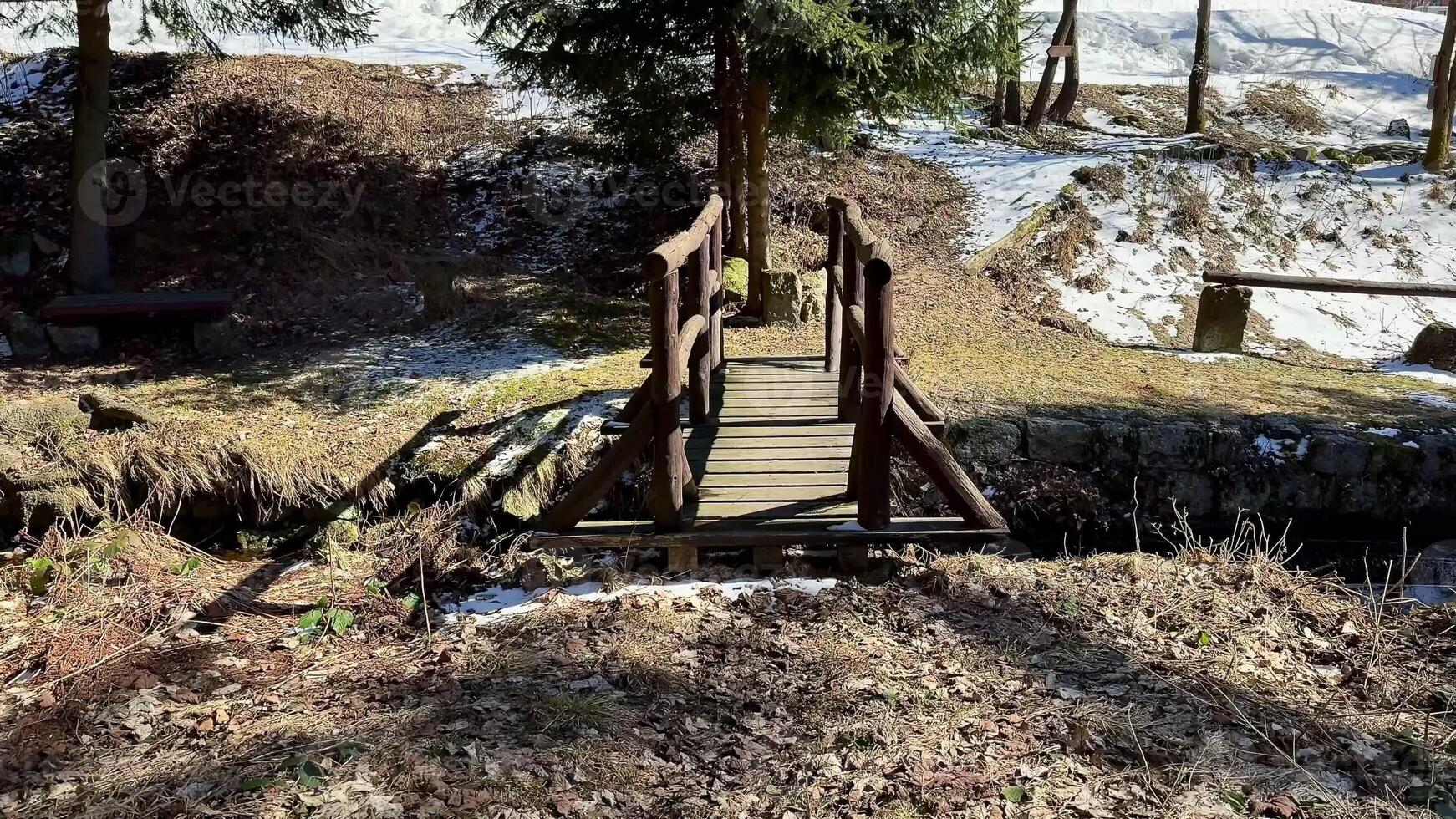 A quaint little wooden bridge is nestled in a serene snowy forest, making it perfect for leisurely winter strolls photo