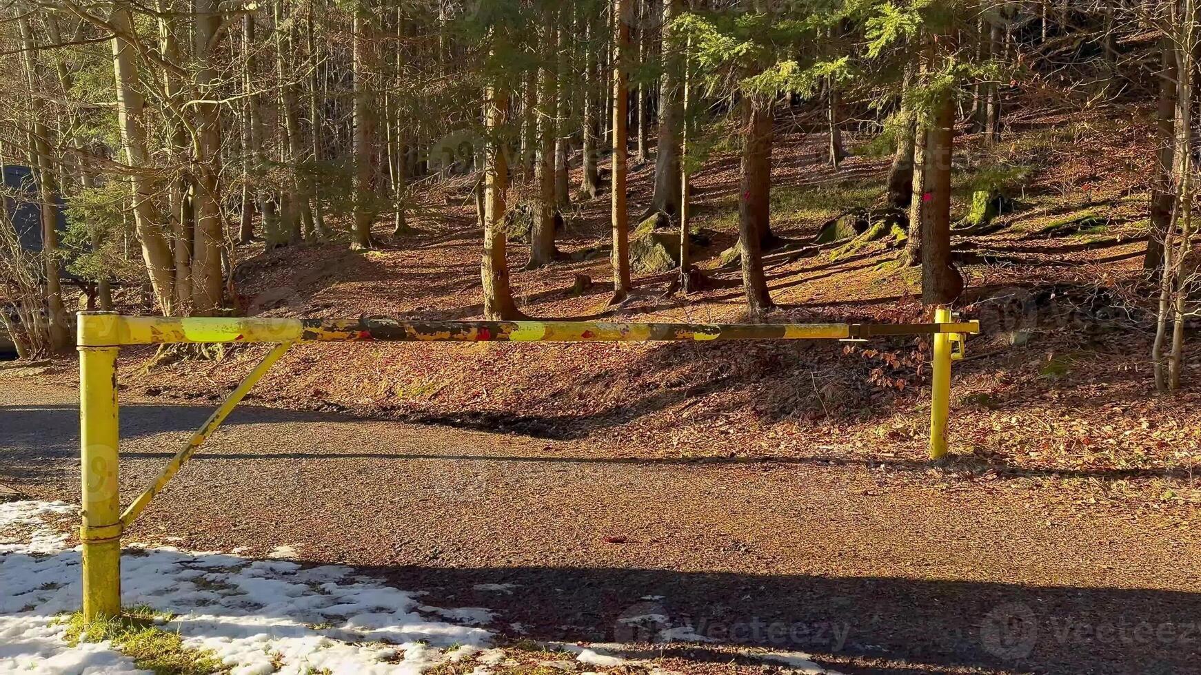 A vibrant yellow barrier stands out in a serene forest path surrounded by lush trees and seasonal scenery photo