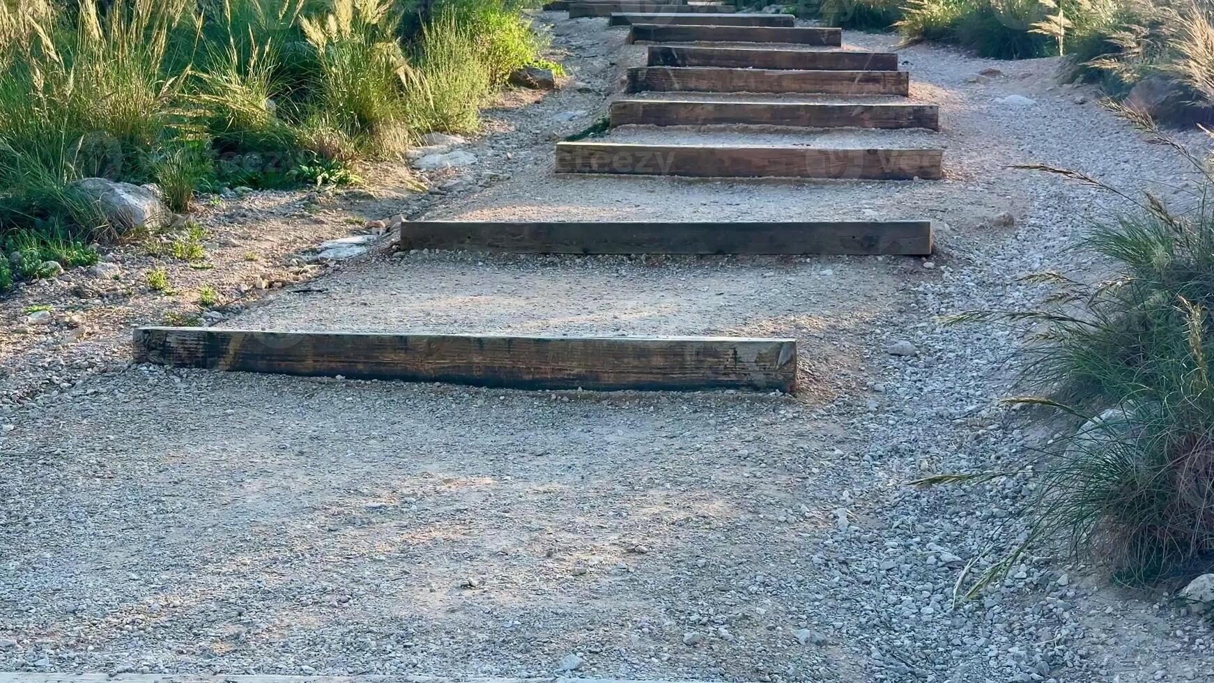 A set of scenic wooden steps gracefully ascend along a gravel path that is surrounded by lush, vibrant greenery photo