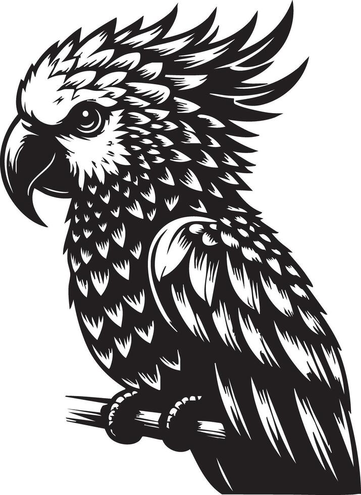 Exotic Bird Art The Allure of Detailed Parrot Drawings vector