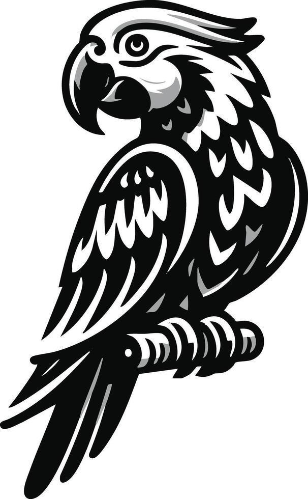 Exotic Parrot Art Black and White Graphics Illustration Design vector