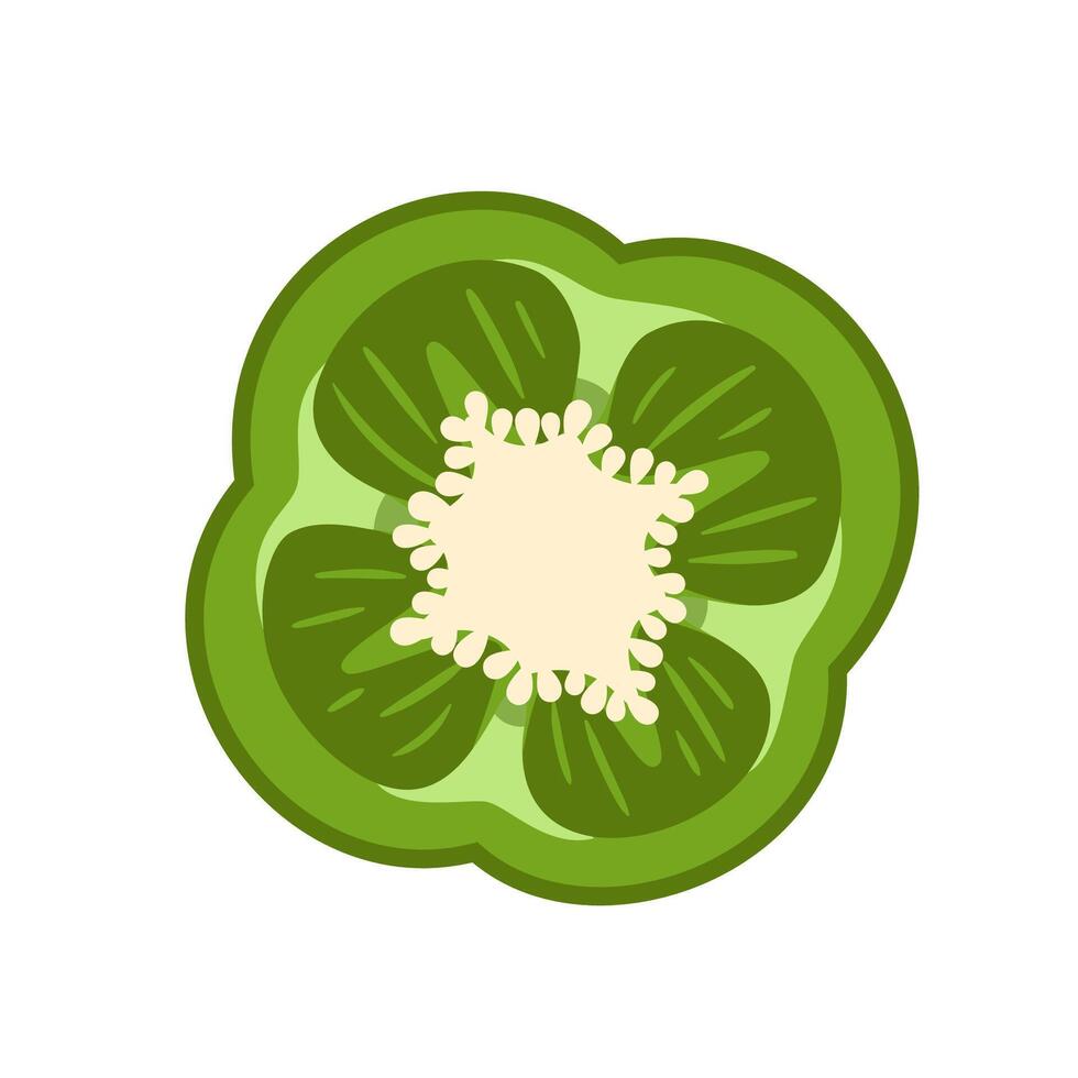 Sweet green bell pepper isolated on white background. Bell pepper in Cartoon style. vector