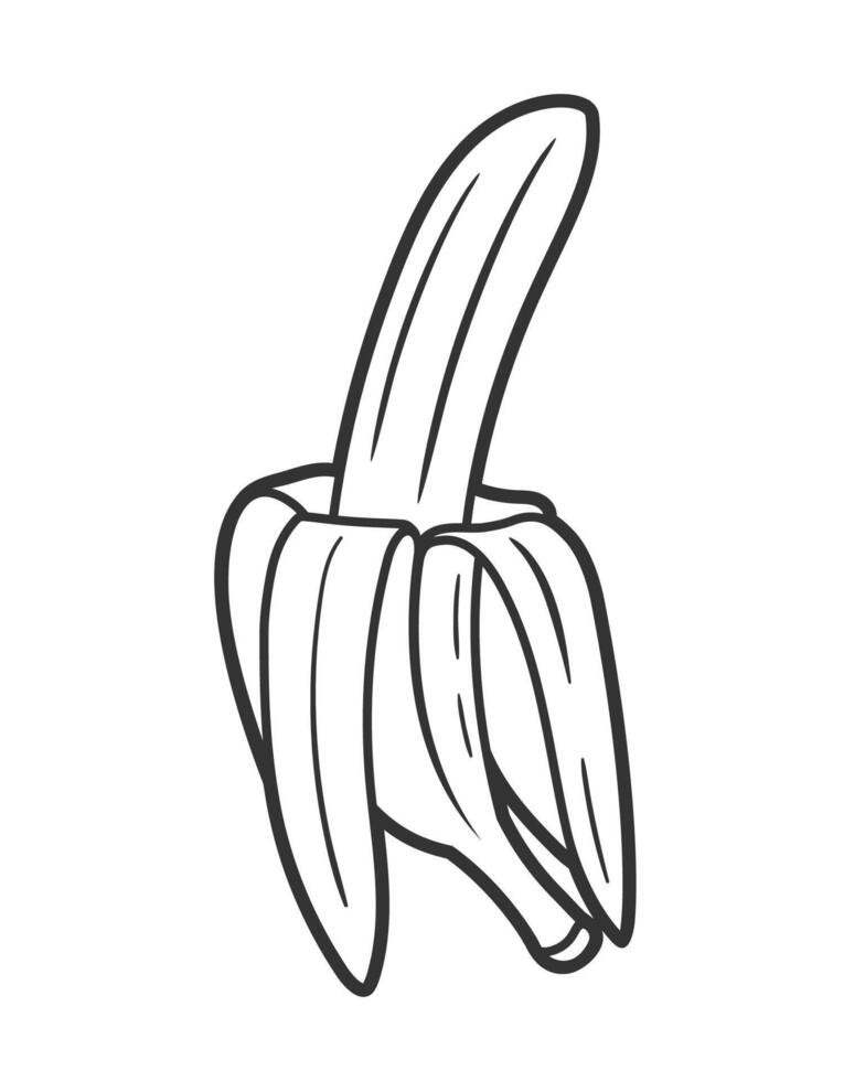 Line art of banana isolated on white background. Illustration in one line style vector
