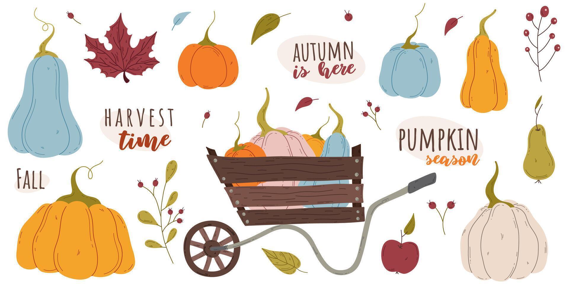 Autumn harvest with pumpkins and leaves vector
