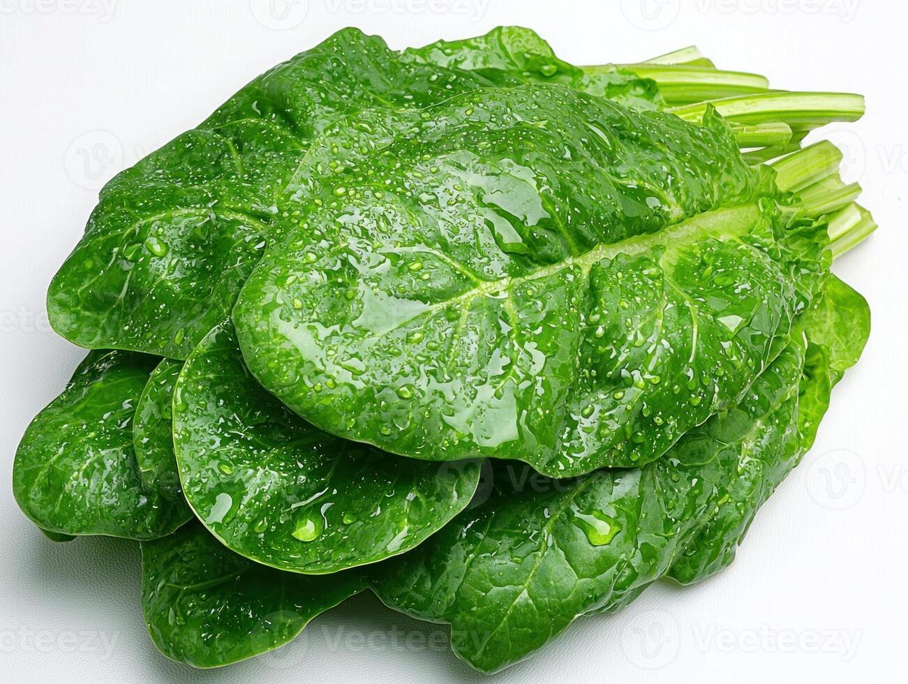 spinach leaves on white background photo