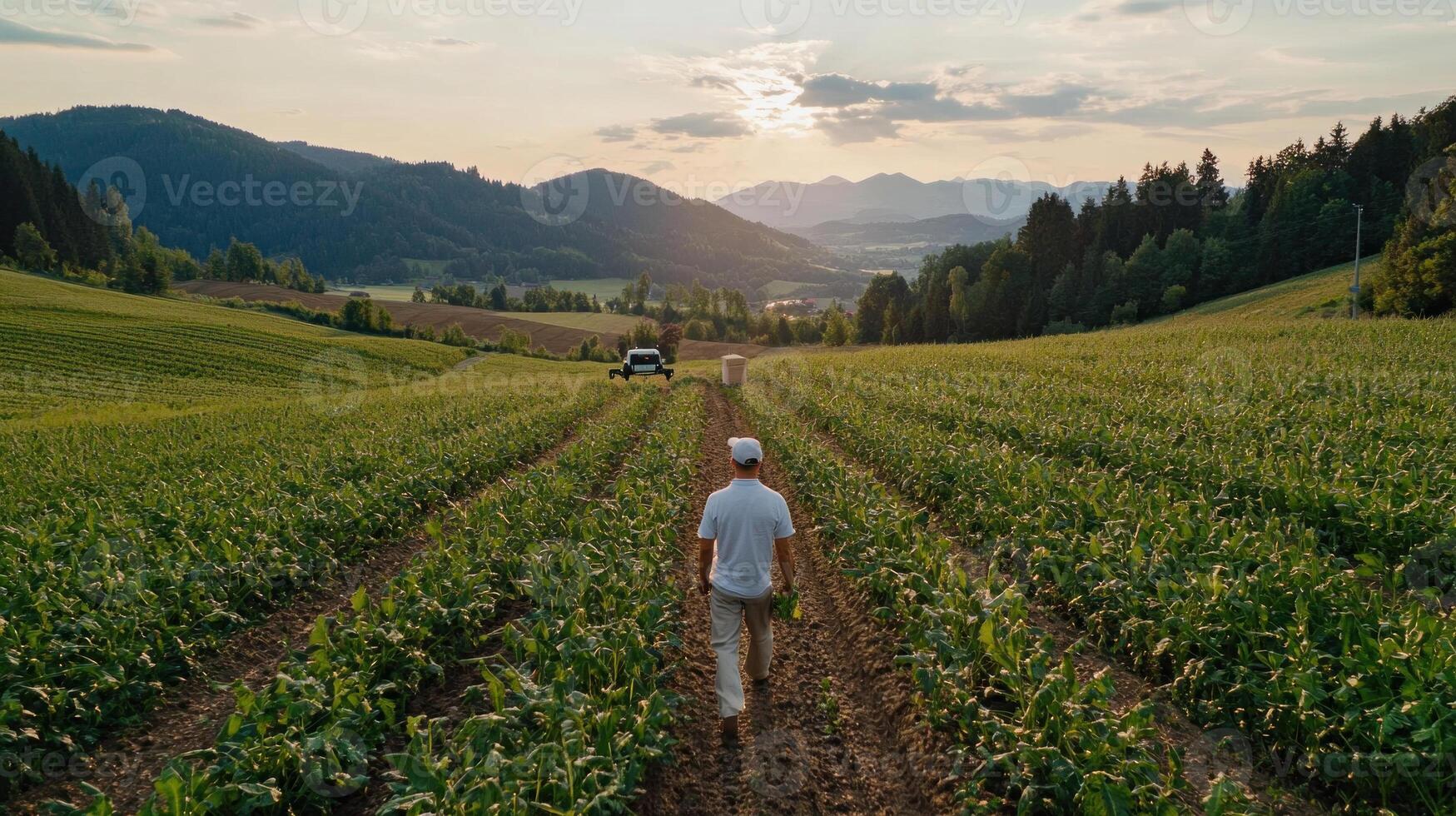 farmer walking through lush green field at sunset, surrounded by scenic hills photo