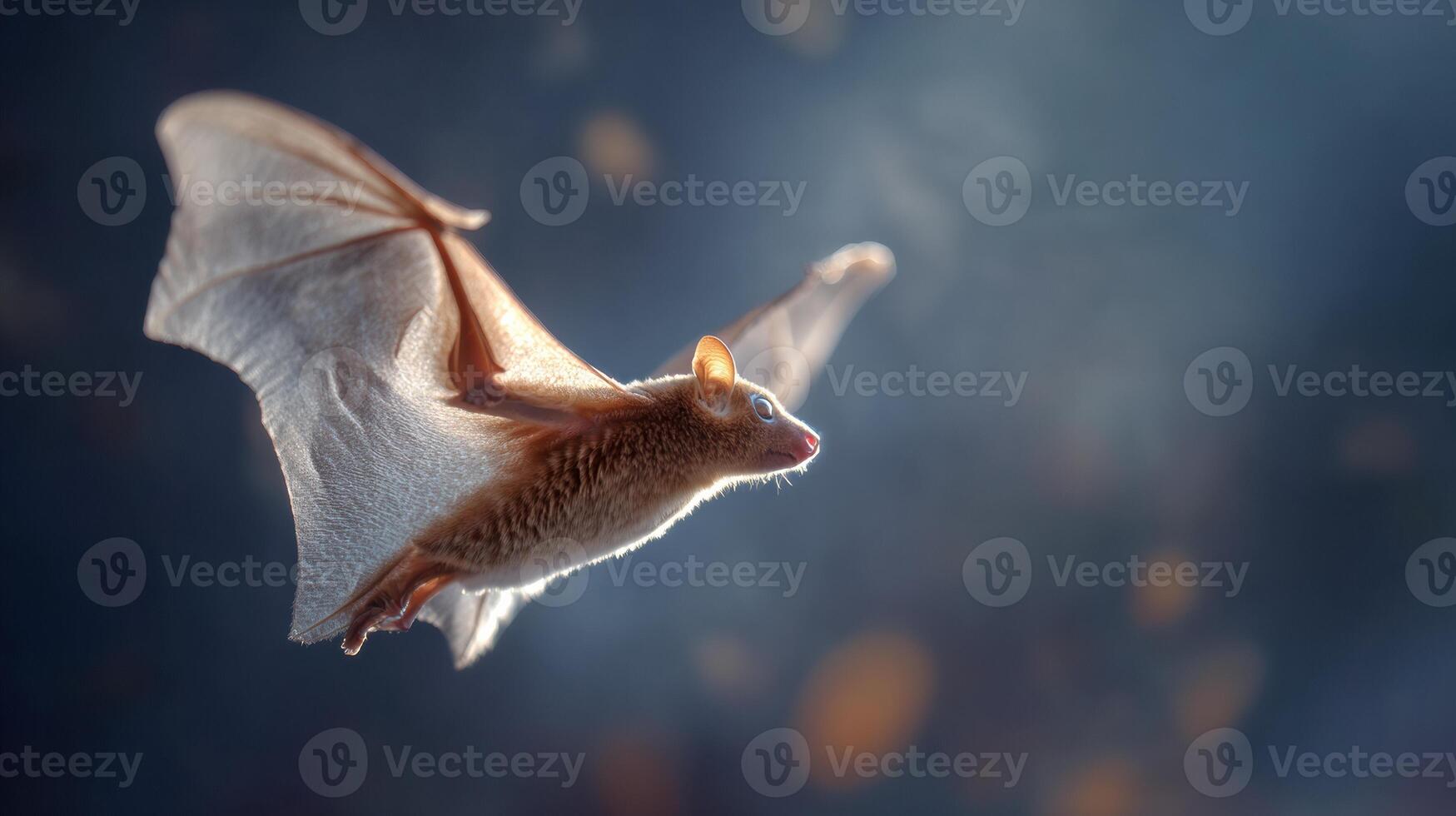 Sunda Colugo Glides Gracefully Through Twilight Air Surrounded by Soft Gradients of Light and Shadow photo