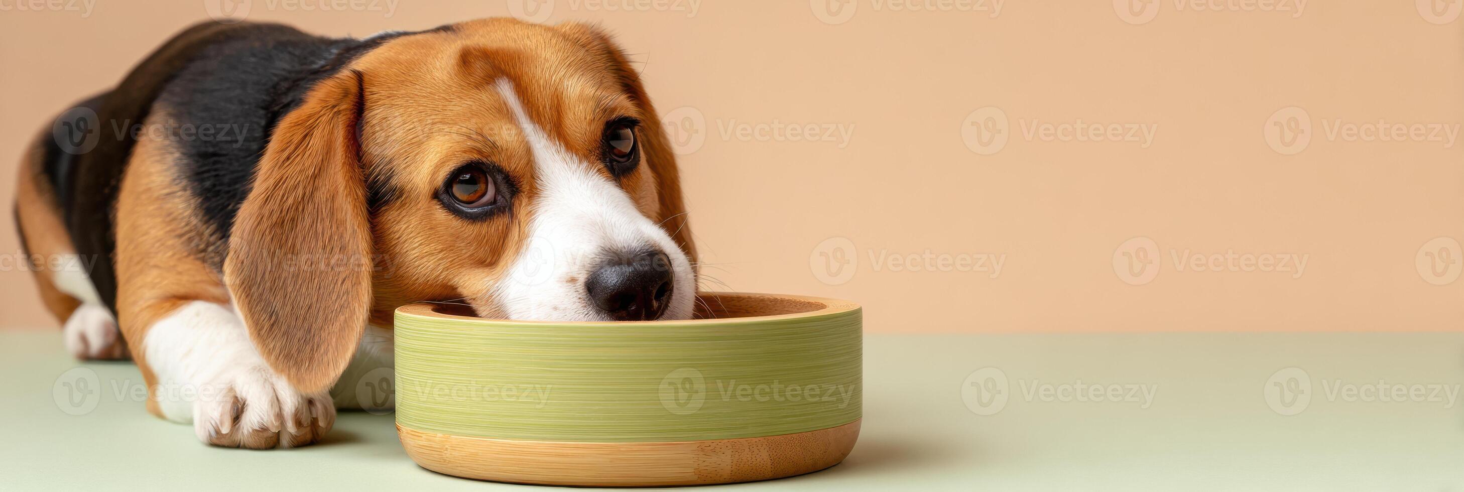 Dog Munches Happily From Eco Bamboo Bowl on Soft Pastel Background With Ample Space on the Left for Design Elements photo