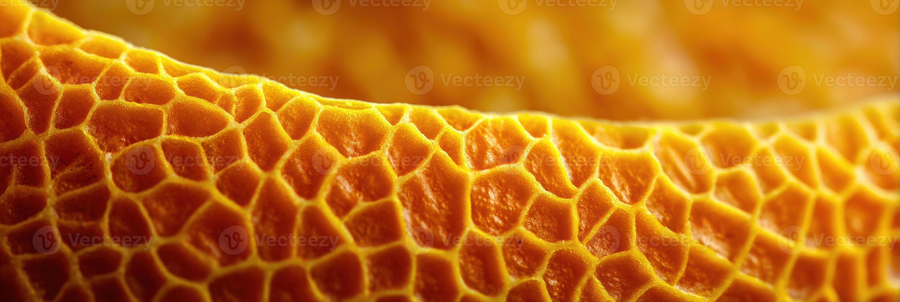 Close-up of Textured Orange Peel Showing Intricate Patterns and Vibrant Colors Highlighting Natures Design in a Clean Macro View photo