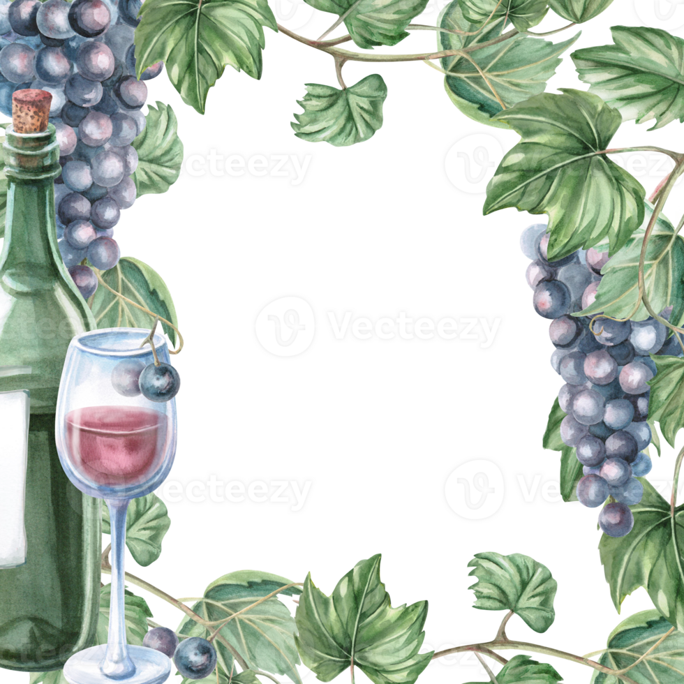 Square frame with green glass bottle and grapes. Isolated watercolor illustration for bottle label design, bar menu design, printed products for Wine Day and Harvest Festival. png