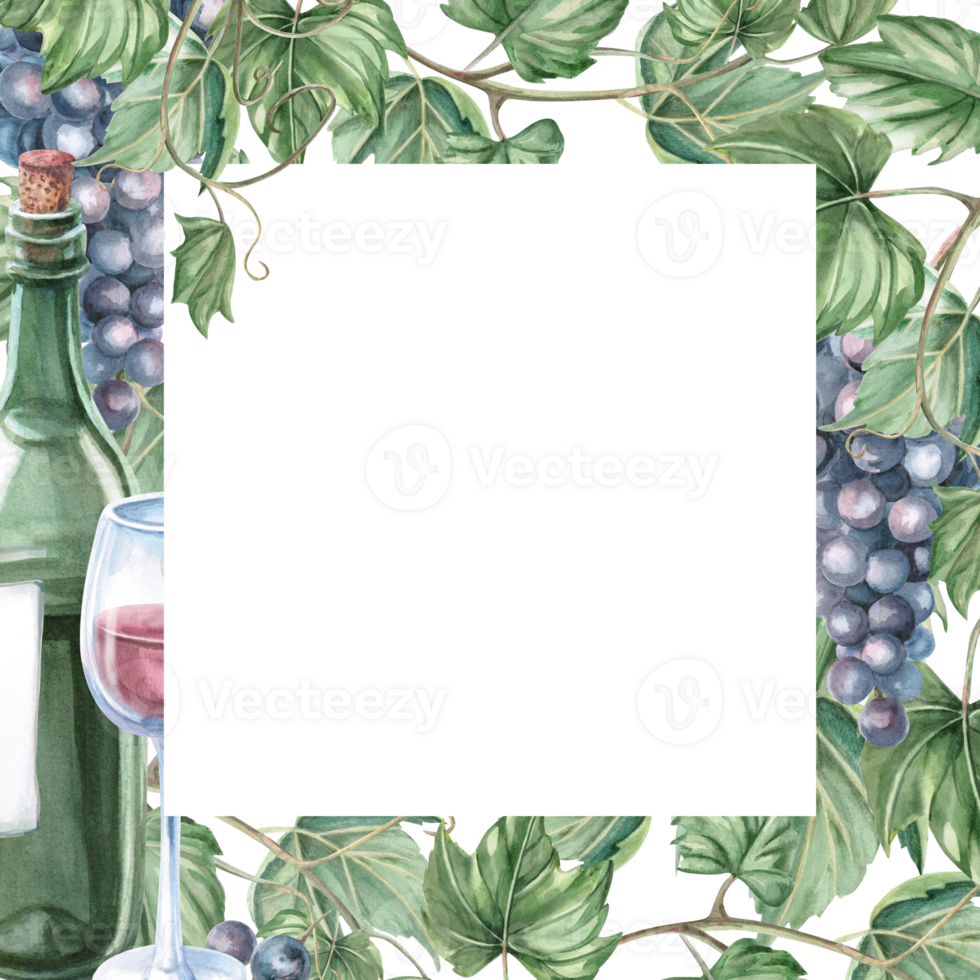 Square frame with green glass bottle and glass. Isolated watercolor illustration for bottle label design, bar menu design, printed products for Wine Day and Harvest Festival. png