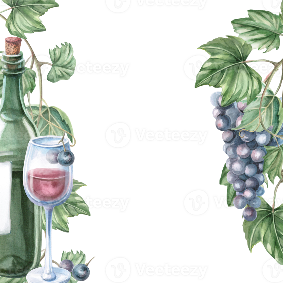 Square frame with a bottle of wine and a glass with grapevine. Isolated watercolor illustration for bottle labels, bar menu design, printed products for Wine Day and Harvest Festival. png