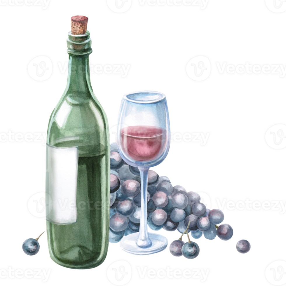 Glass of red wine, bottle and bunch of grapes. Isolated watercolor illustration for bar menu design, restaurant interior, printing on alcoholic beverages, printing on textiles. png