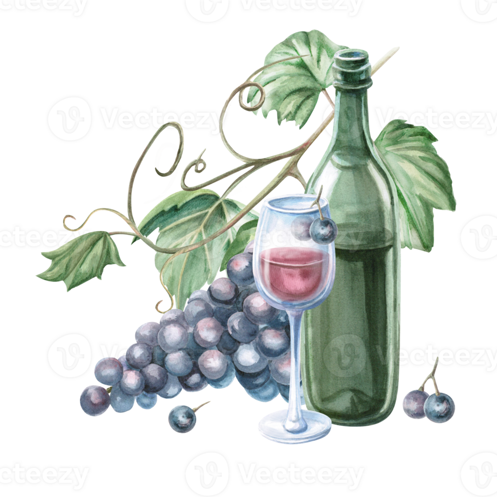 Wine bottle with a glass on a background of grapevine. Isolated watercolor illustration in a realistic style for bar menu design, restaurant interior, printing on alcoholic beverages png