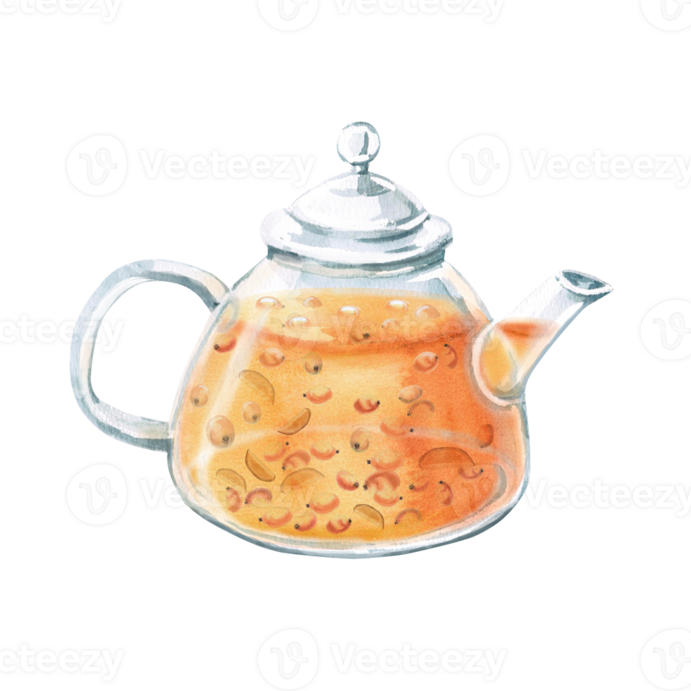Glass teapot with warming sea buckthorn and ginger tea. Isolated watercolor illustration in realistic style for design of juices, drinks, teas, tea card, printing on postcards, fabric and textiles. png