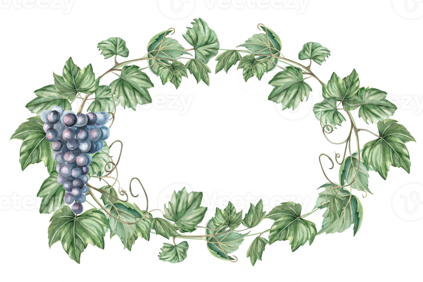 Oval frame with grapevine and bunch of ripe grapes. Isolated watercolor illustration in realistic style for restaurant menu design, bar interior, textile printing. png