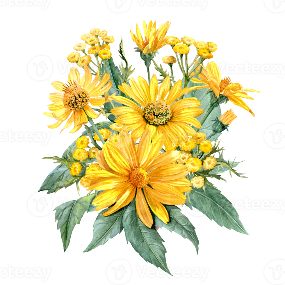 Heliopsis and Tansy bouquet png