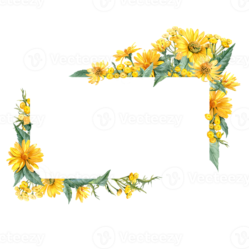 Rectangular frame with lush bouquet with hand drawn Heliopsis and Tansy png