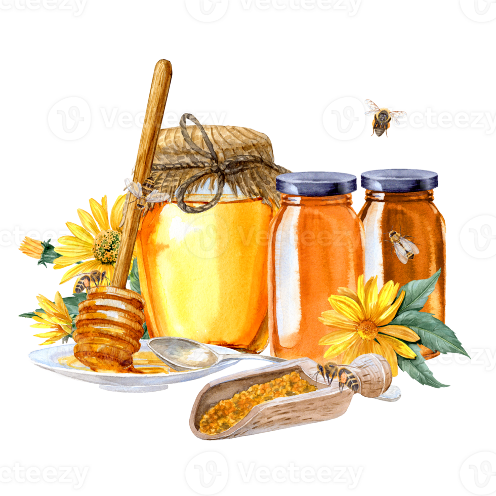 Watercolor hand-painted different types of honey in jars, bees and pollen with yellow flowers near png