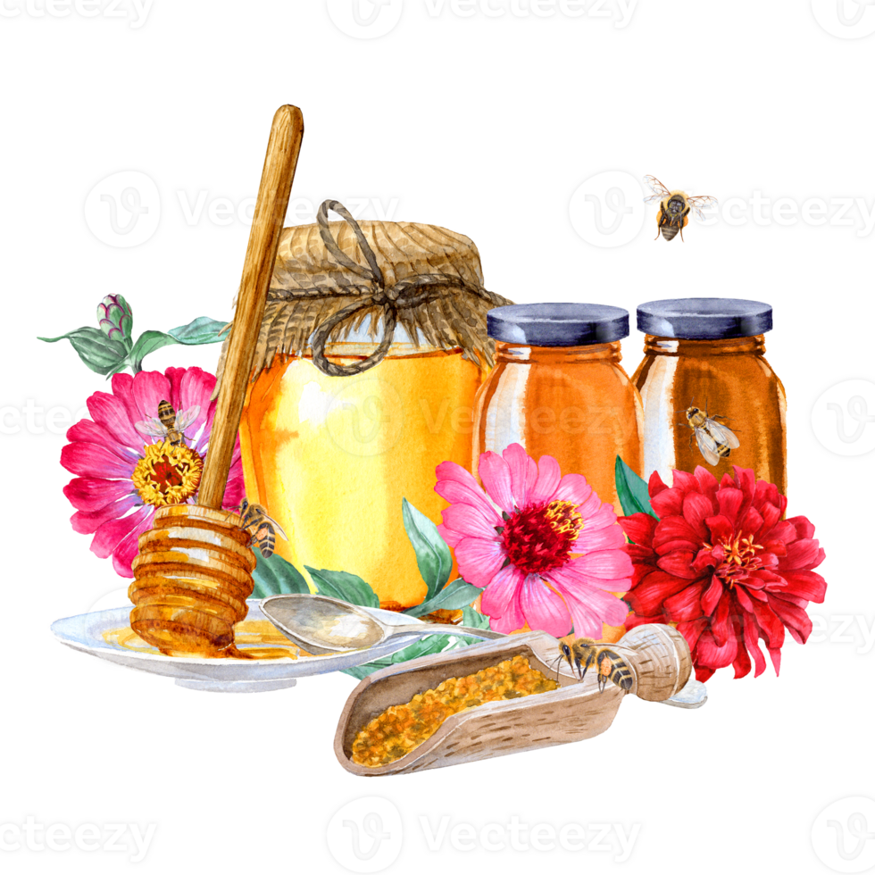 Watercolor painted different types of honey in jars, bees and pollen and red-pink Zinnia flowers png