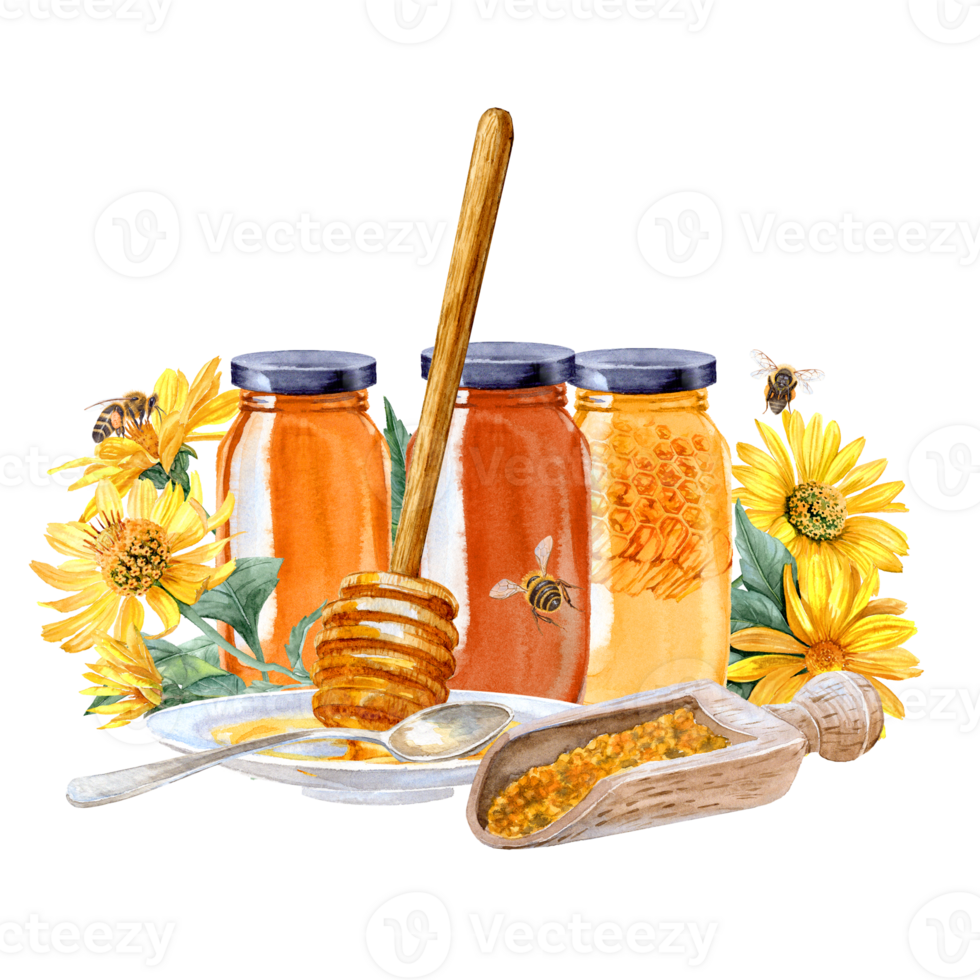 Watercolor painted different honey products, Heliopsis flowers and bees around it png