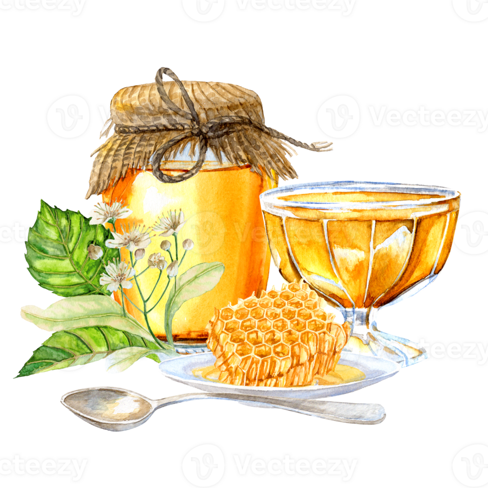 honeycombs, honey in a jar, and hand-painted lime blossoms png